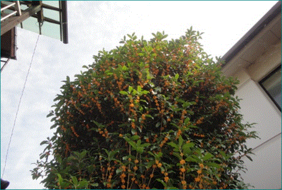 f0231709_19055133.gif