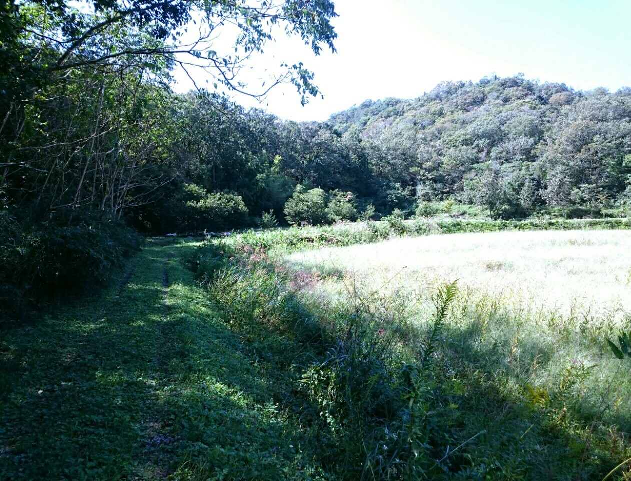 a0361610_13333431.jpg