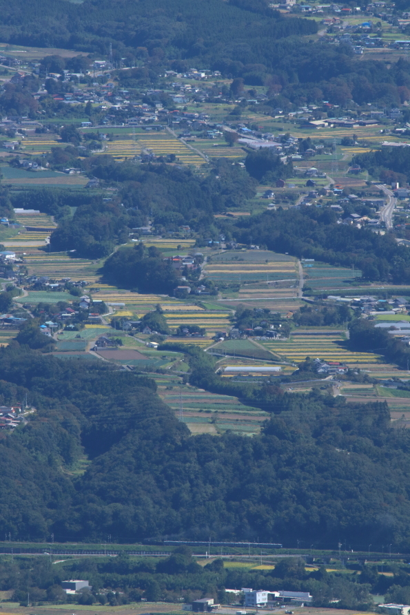 黄金の稲穂の残る赤城山麓の棚田 - 上越線・2018年秋 -_b0190710_23123241.jpg