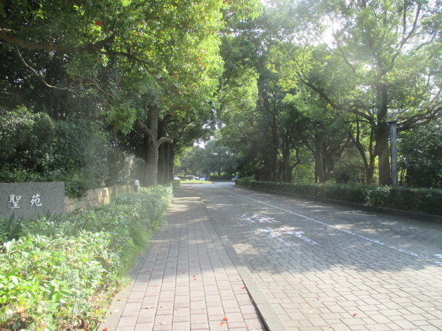 b0183111_19211745.jpg