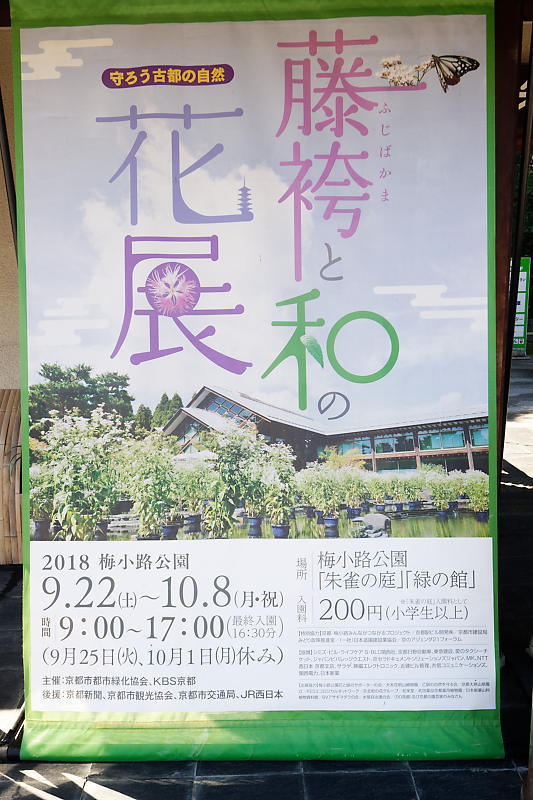 アサギマダラ 藤袴と和の花展@梅小路公園朱雀の庭_f0032011_21014602.jpg