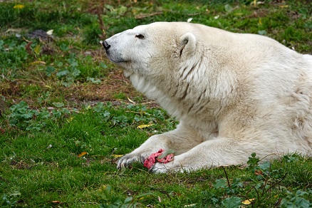 a0151913_310444.jpg