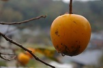 b0275715_19040938.jpg