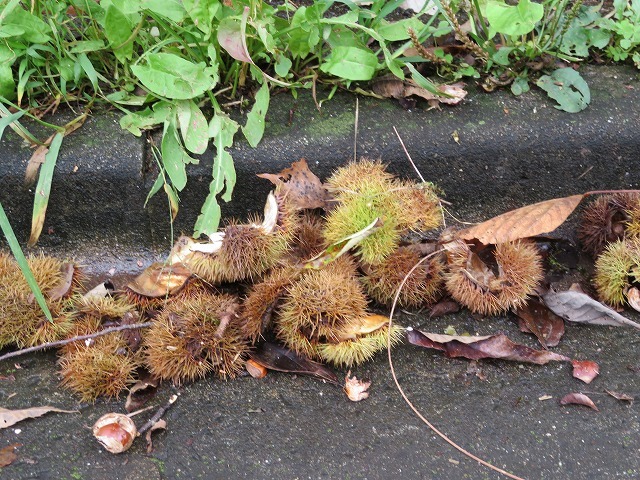 f0087620_12442608.jpg
