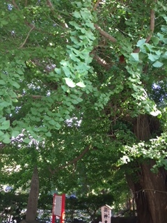 c0166624_14545566.jpg