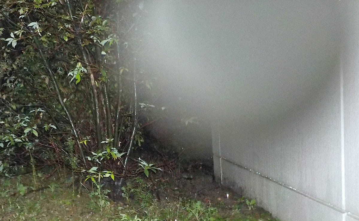 c0331825_09465833.jpg