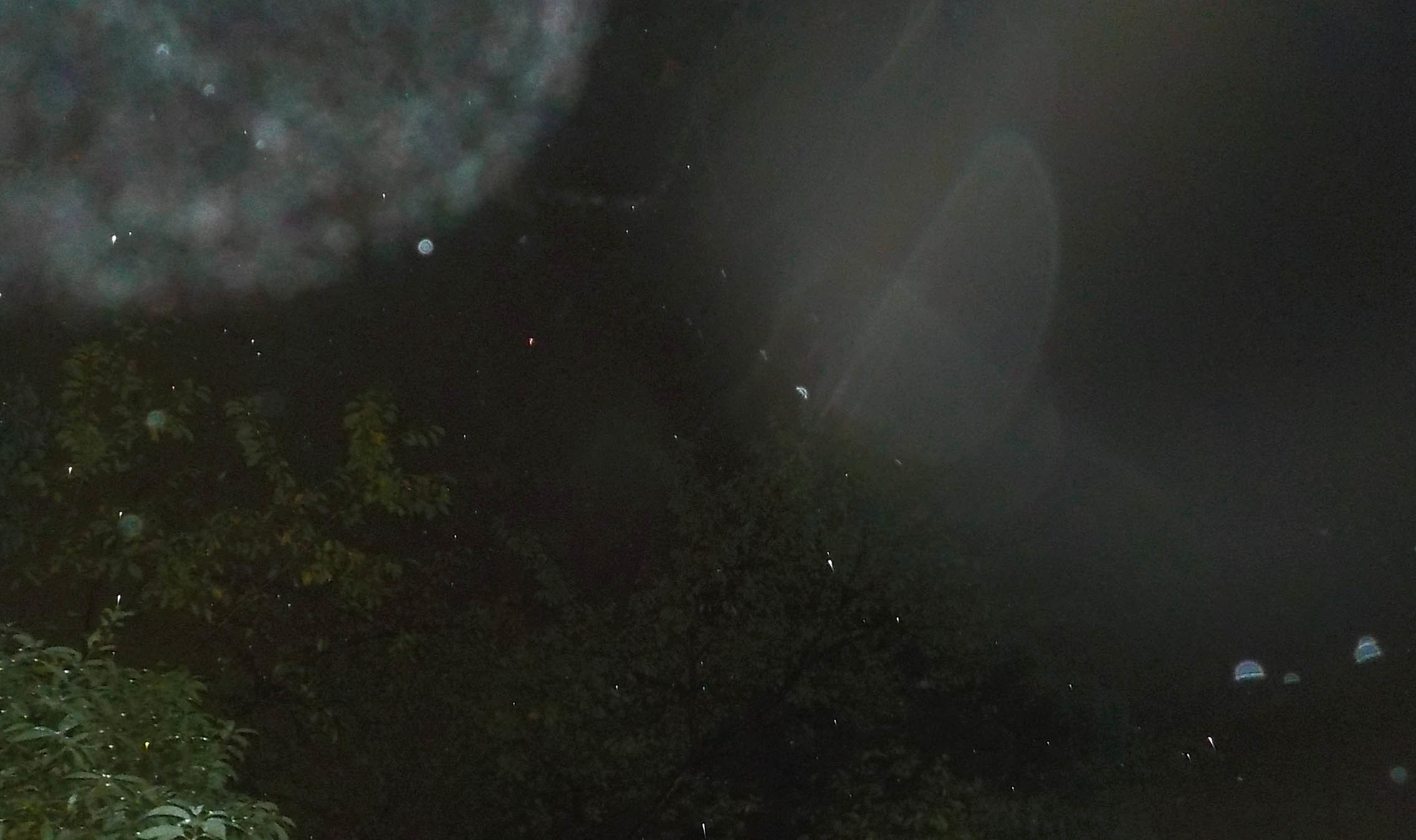c0331825_09561350.jpg