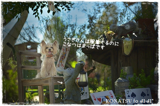 d0179828_23482987.png