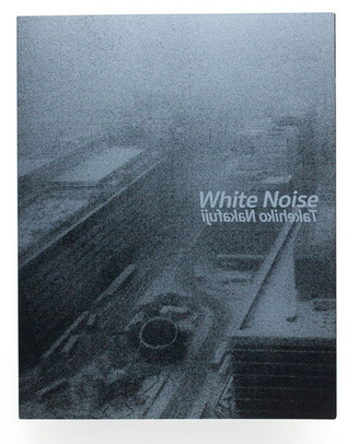中藤毅彦氏 写真集「White Noise」_b0187229_11080774.png