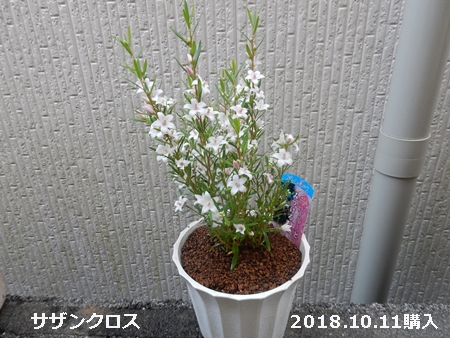 e0033229_18353530.jpg