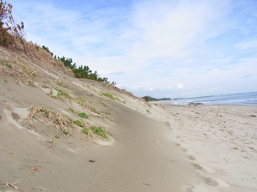 c0265631_14254589.jpg