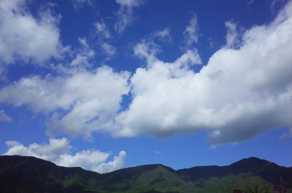 a0287336_22572846.jpg