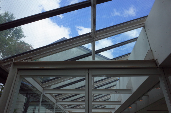 a0287336_23435267.jpg