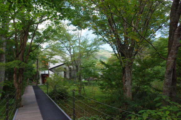 a0287336_23442302.jpg