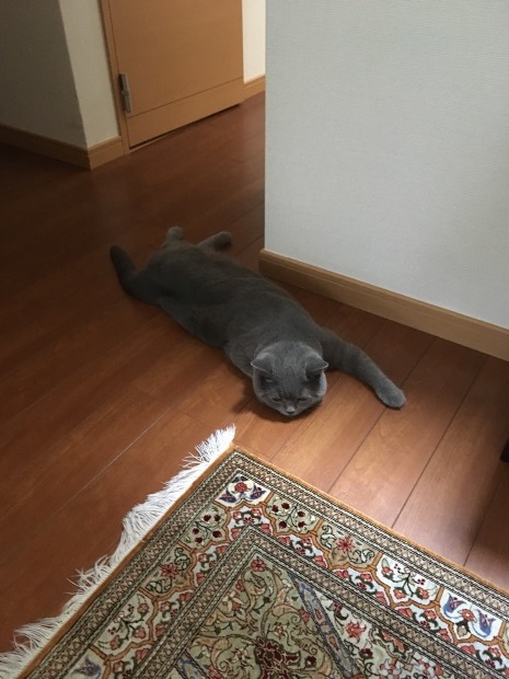 e0382949_12103938.jpeg