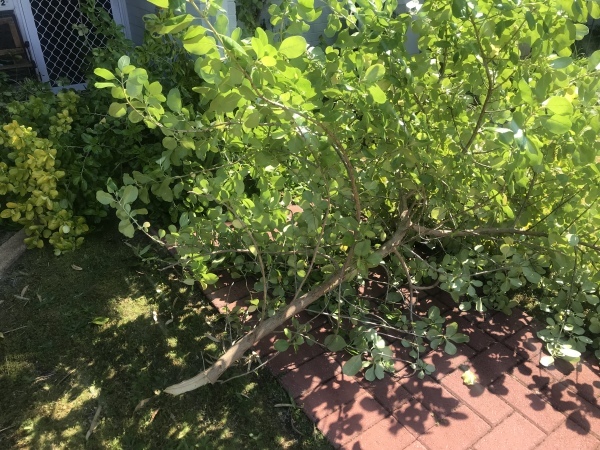 f0304452_11415812.jpeg