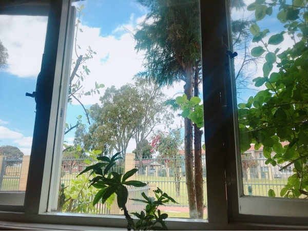 f0304452_11470025.jpeg
