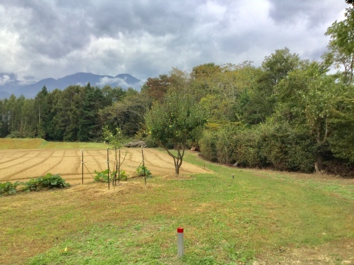a0053063_16002221.jpeg