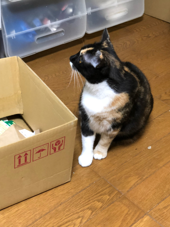 バレエ_e0355177_19041952.jpg