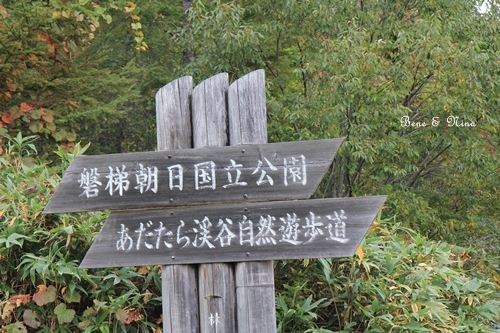 c0283778_16381025.jpg