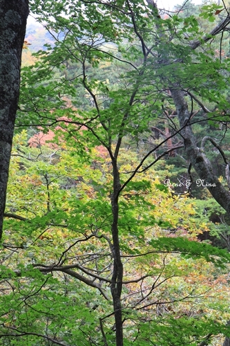 c0283778_16385434.jpg