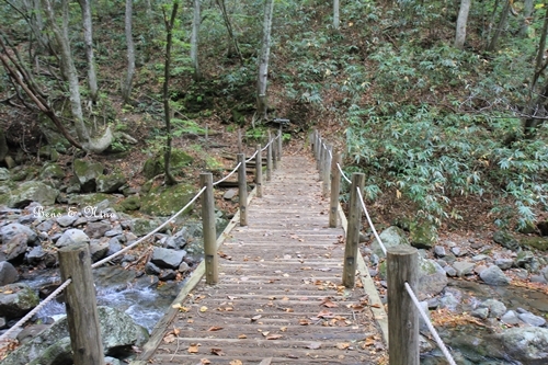c0283778_16392258.jpg