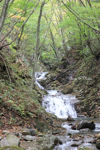 c0283778_16393830.jpg