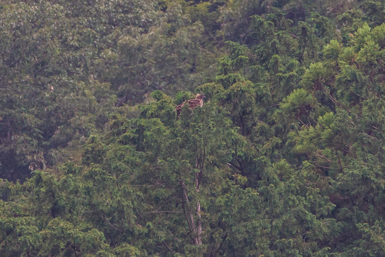 a0052080_20005887.jpg