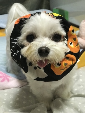 b0193480_14013810.jpeg