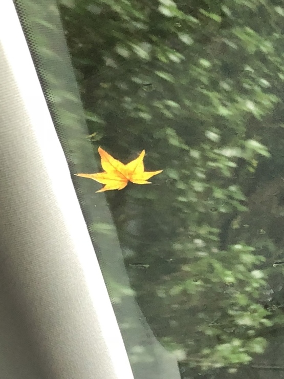 2018年10月11日 初めての硫黄泉_b0098584_19335101.jpeg