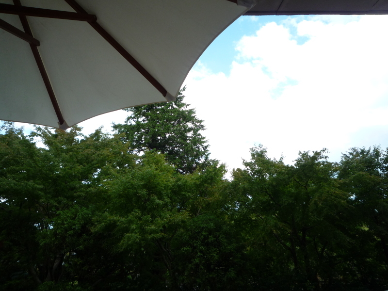 b0197486_15055400.jpg
