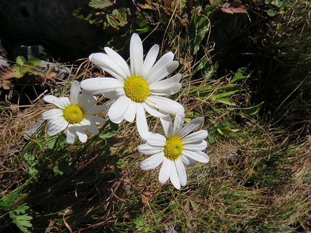 f0357487_14134269.jpg