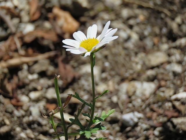 f0357487_14144028.jpg