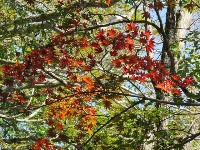 f0357487_14345573.jpg