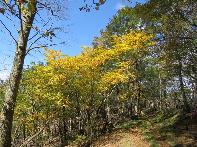 f0357487_14350944.jpg