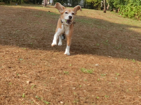 a0319693_7452080.jpg
