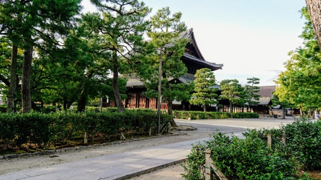 磯辺巻きを思い浮かべ、安倍川餅って言ってたあとは_e0167593_23431200.jpg