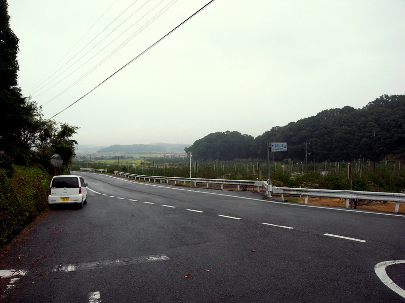 f0325295_12310878.jpg