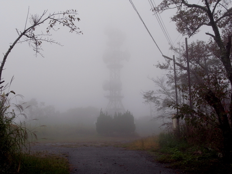 f0325295_12312442.jpg