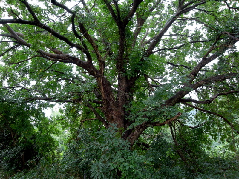 f0325295_12313332.jpg