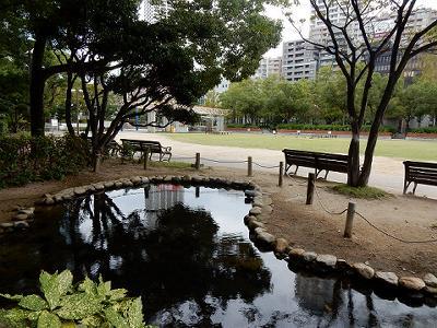 東遊園地のビオトープ_b0051598_15451292.jpg