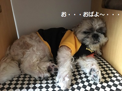 雨の日は読書♪_f0372998_22220011.jpg