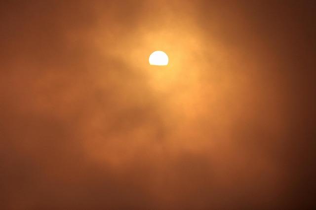 e0137200_2232544.jpg