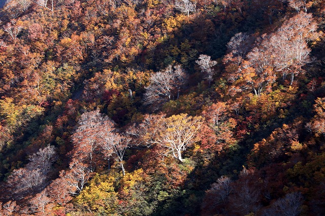 e0137200_22364879.jpg