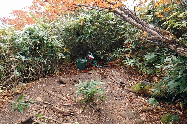 e0137200_22392439.jpg
