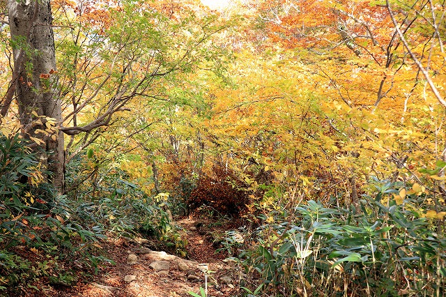 e0137200_22394345.jpg