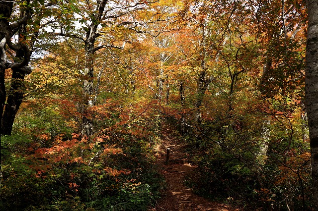 e0137200_22403713.jpg