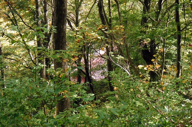 e0137200_22411523.jpg