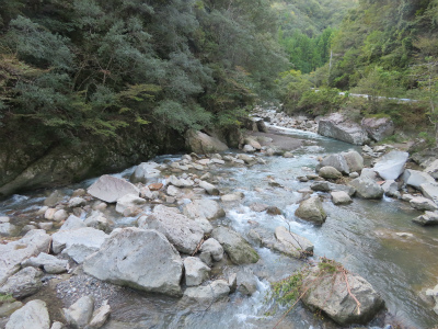 c0125501_15393146.jpg