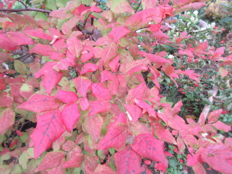 a0203003_21123880.jpg